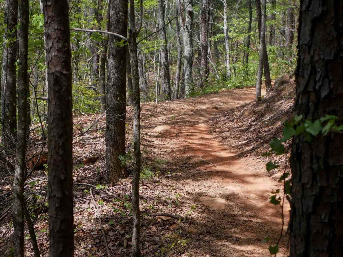 Hightower Loop Trail E photo 4