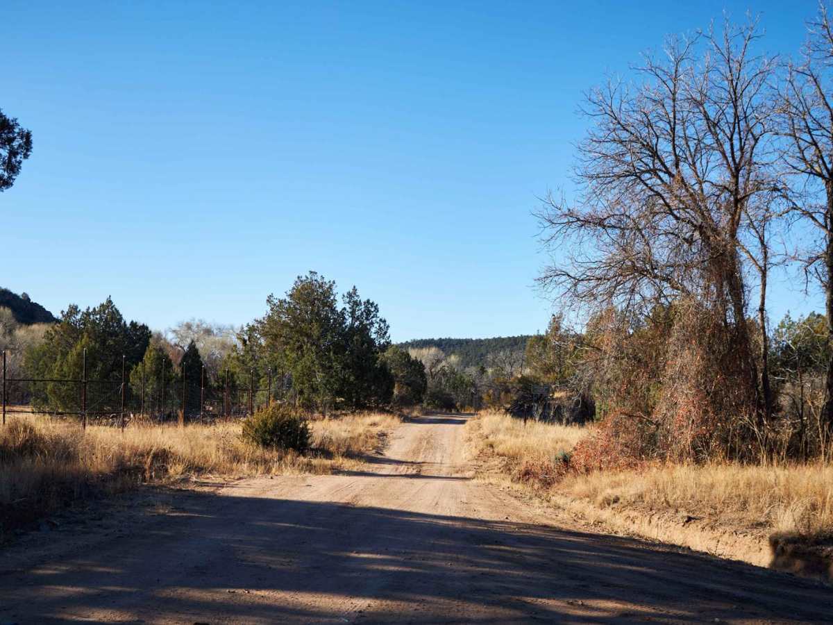 Walnut Creek trail photo