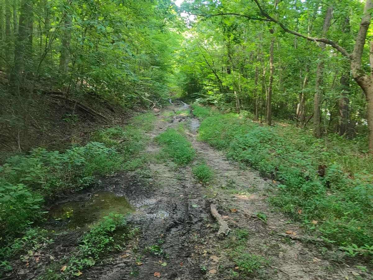 Rawlins Bend - FS 339 trail photo