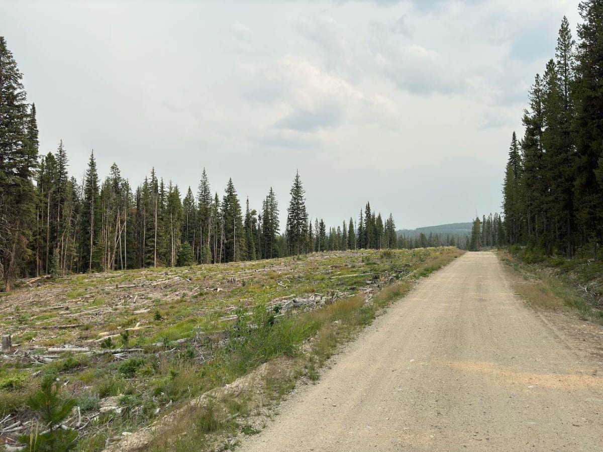 Gibbons Pass photo 2