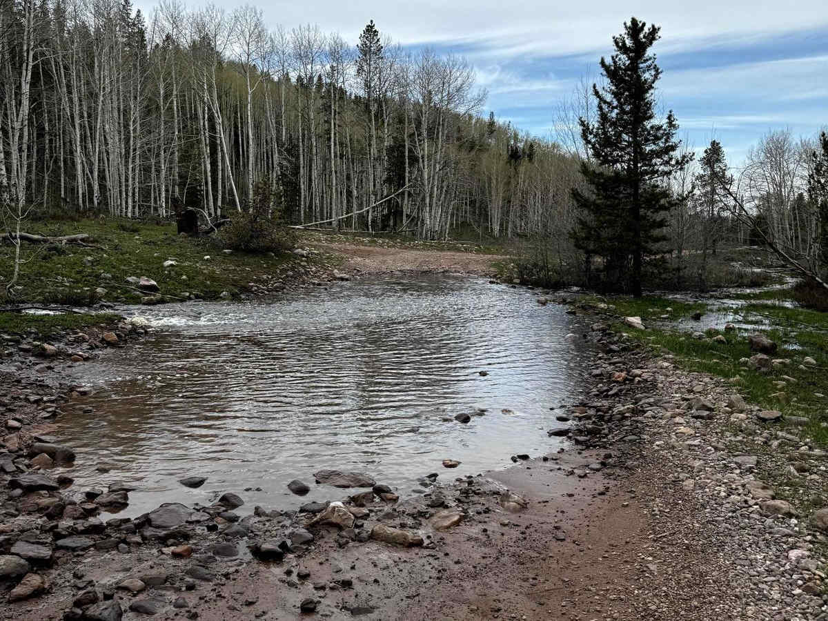 Lily Lake Road photo 4