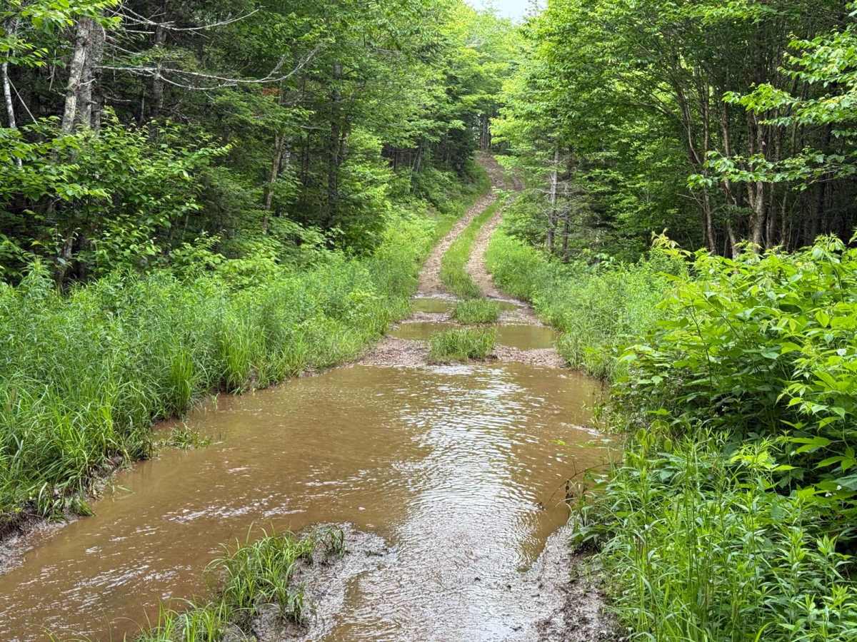 Sandy MacDonald Trail trail photo