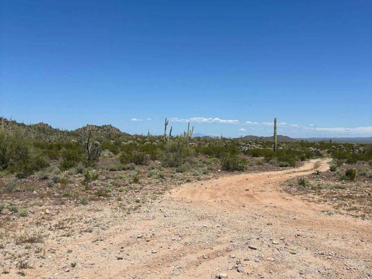 North Picacho Mountains Loop photo 6