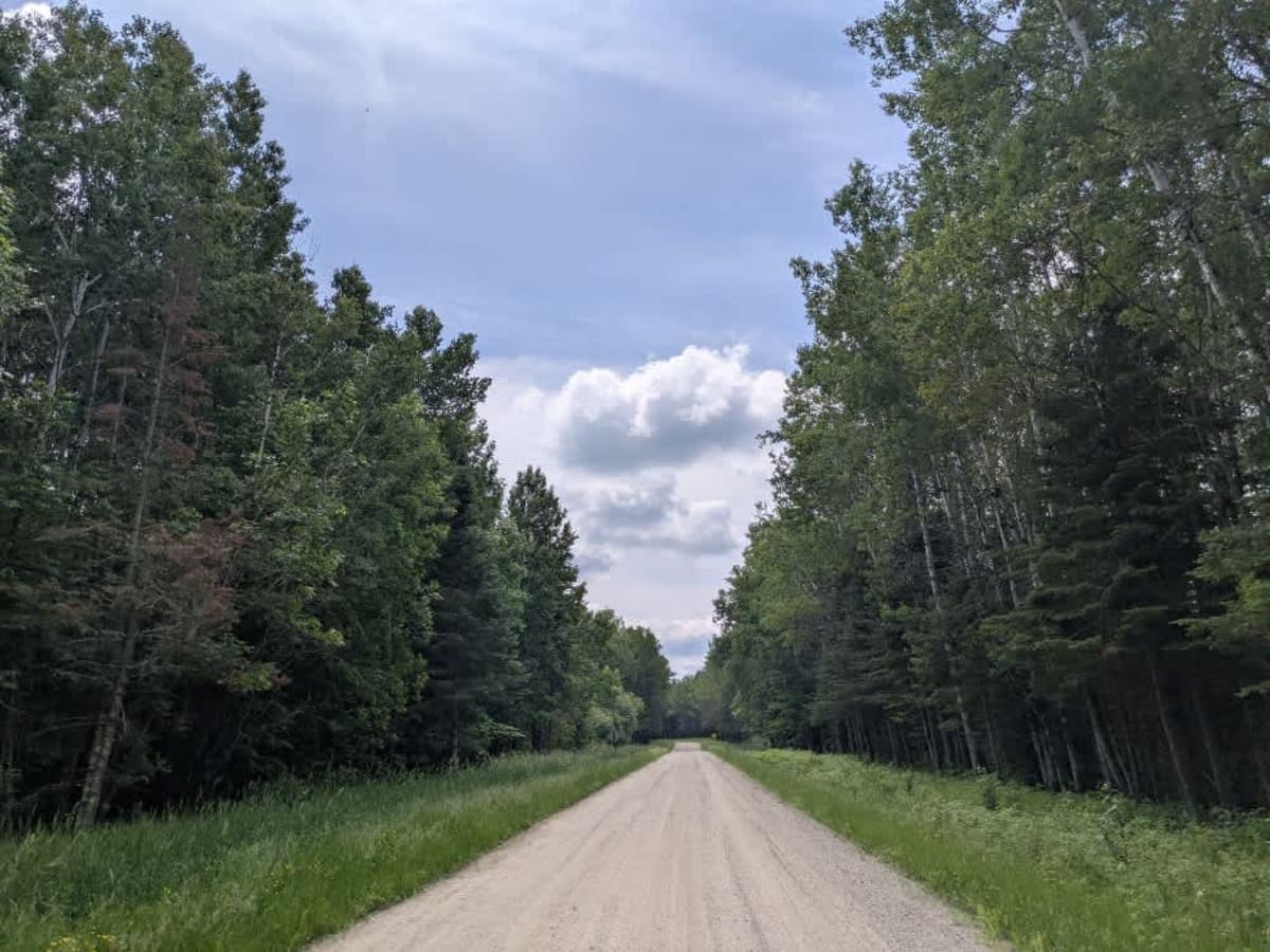 County Road 243 trail photo