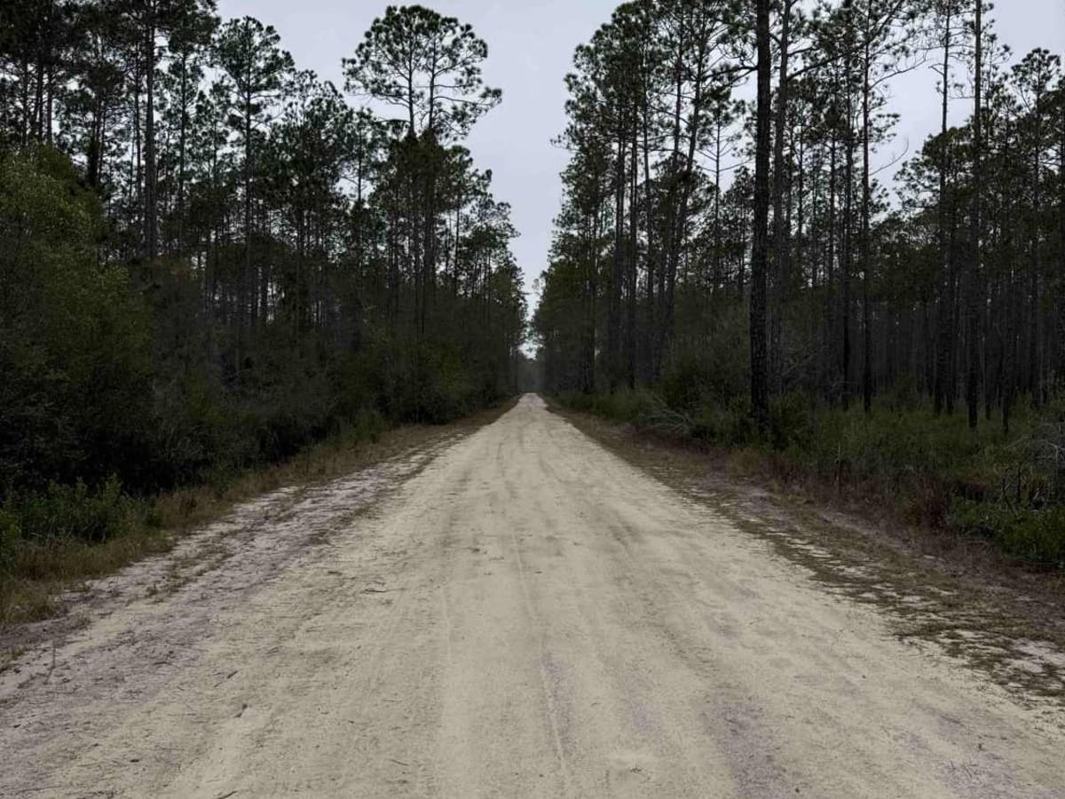 County Line Loop photo 4