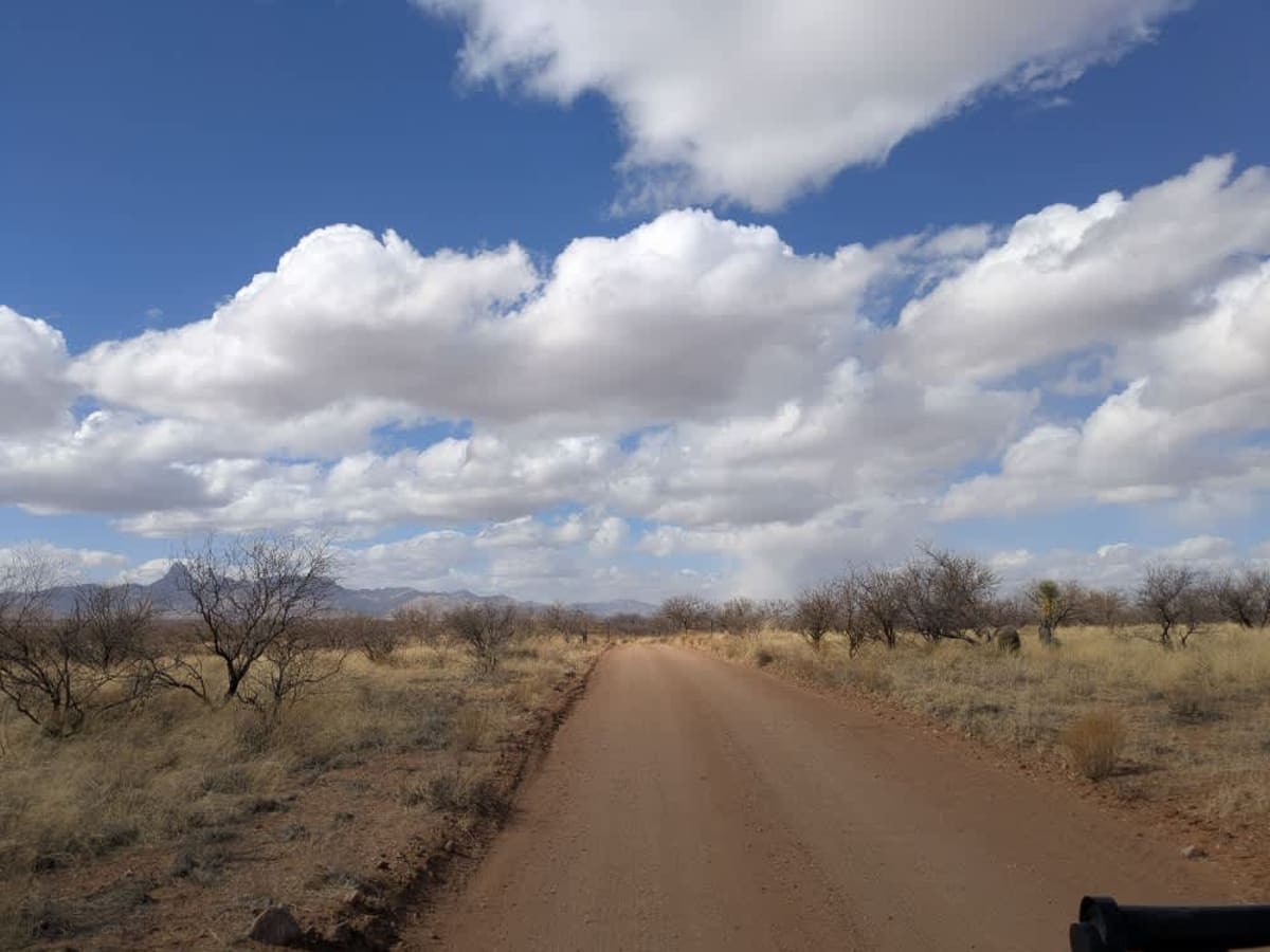 Figeroa North Road photo 5