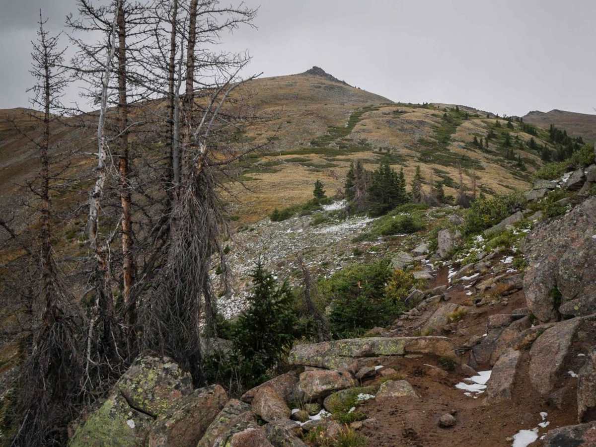 South Quartz photo 6