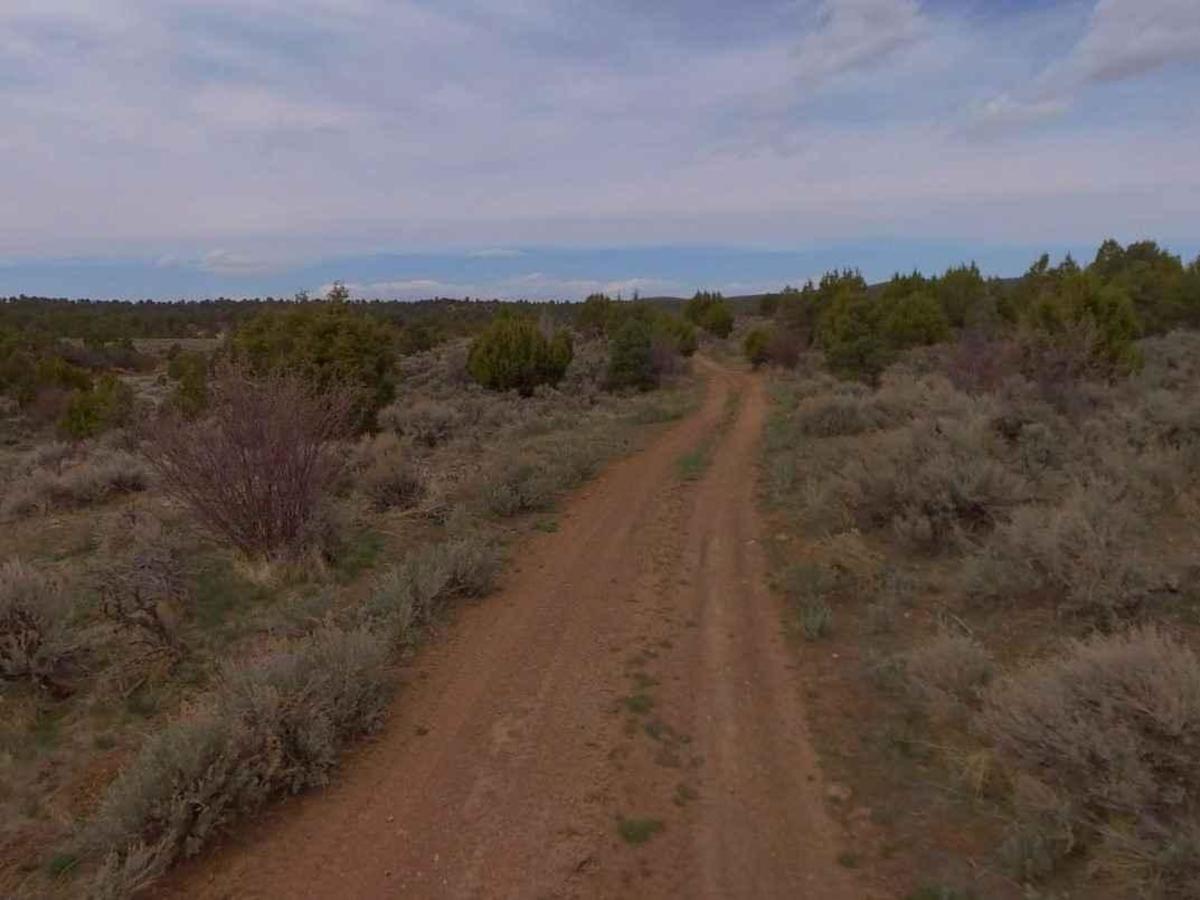 Water Canyon-FR30002 photo 3