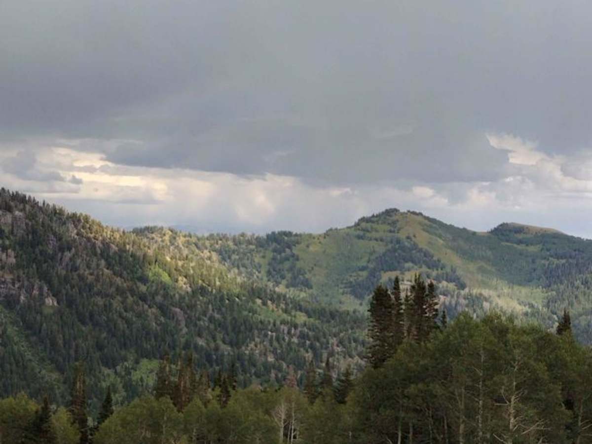 Miller Hill trail photo