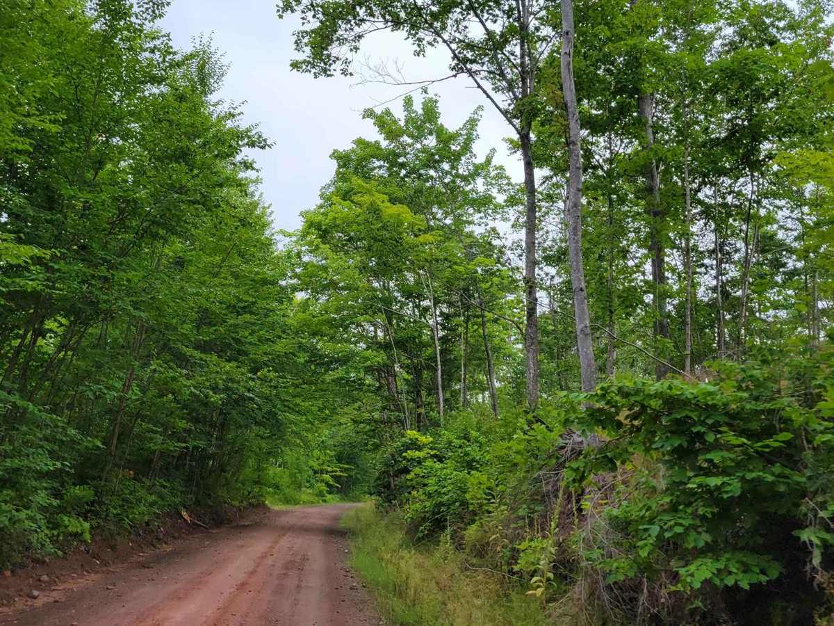 Keweenaw State Trail Segment 2 trail photo