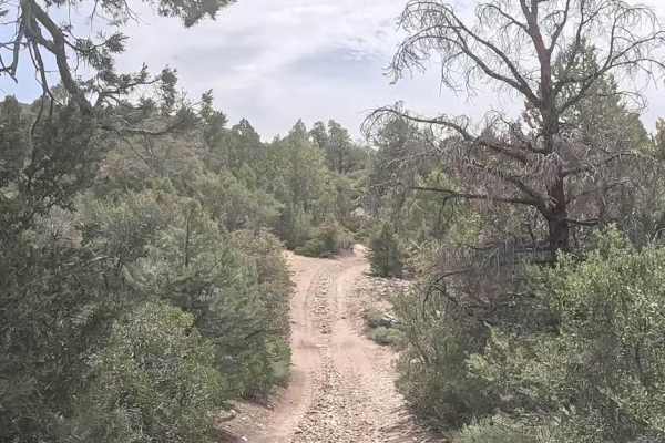 Upper Holcomb - 3N83