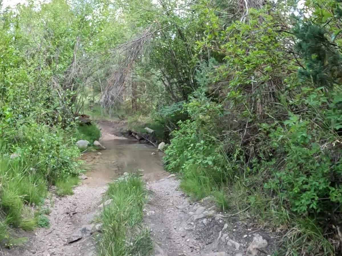 Harmon Trail photo 2