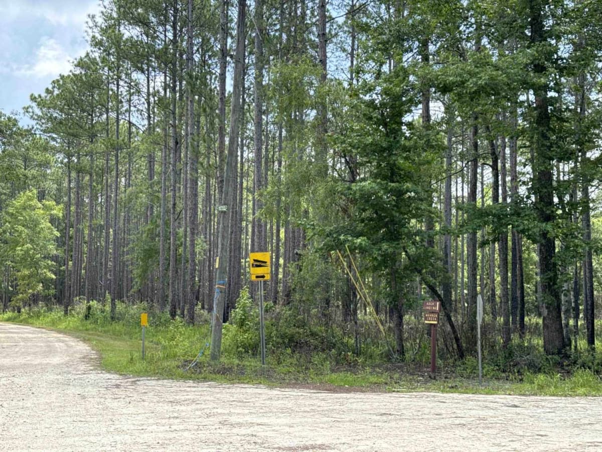 Jeff Sanders Road photo 2