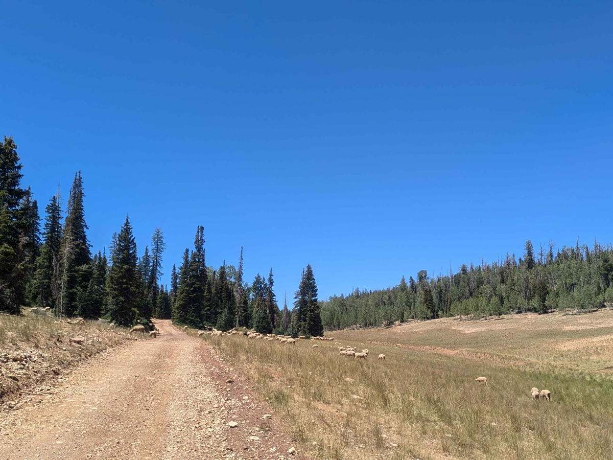 Deer Valley Loop photo 2