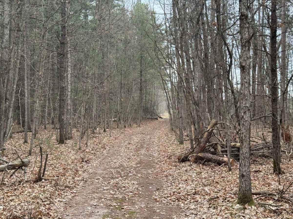 Traverse City ORV Route South photo 3