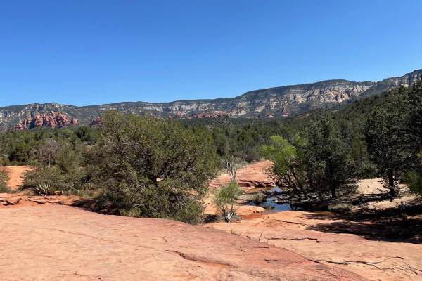 Road to Devil's Bridge & Van Deren Cabin