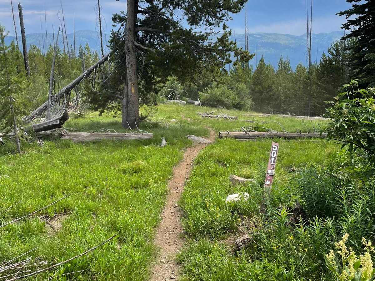 Scribner Ridge photo 2