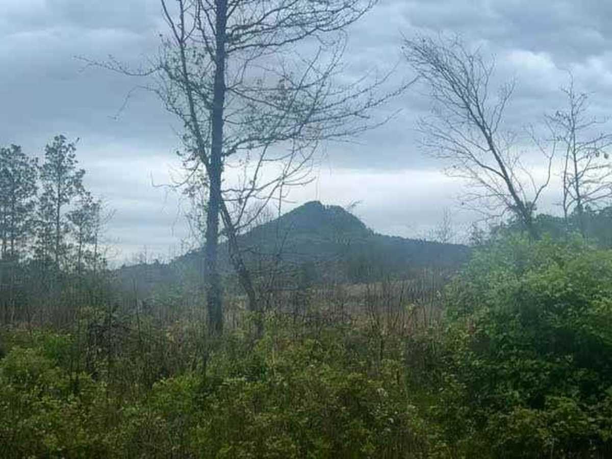 West Forked Mountain FR124 photo 3