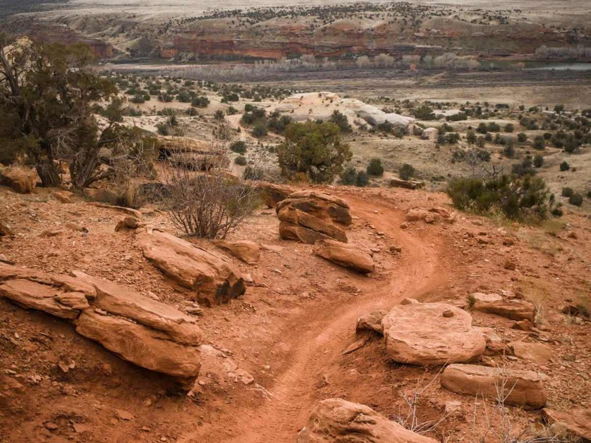 Western Rim photo 2