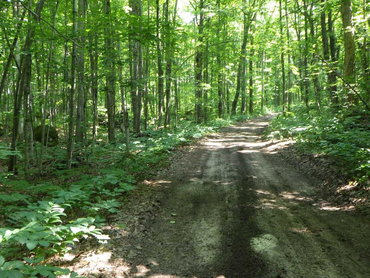 East Sawmill Route photo 2