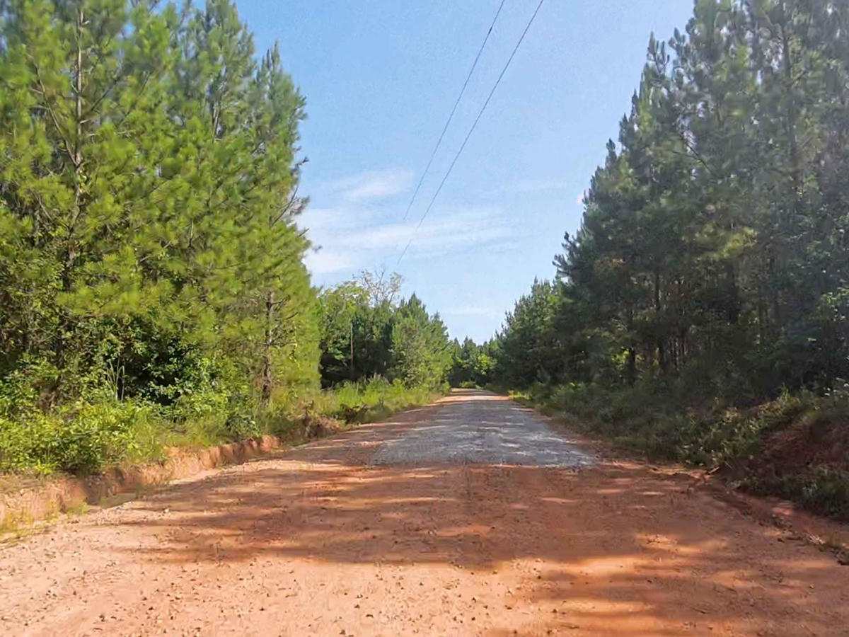 Panther Creek Road photo 5
