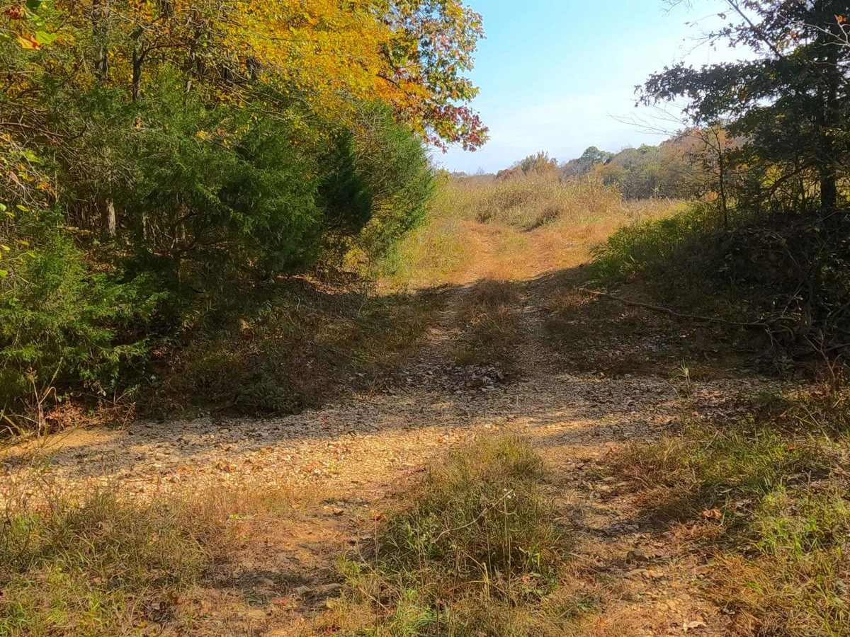 Kelsie Road - FS 308 photo 6