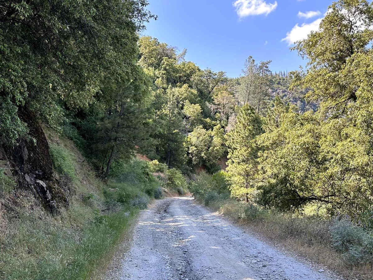 Candy Rock Road P.2 photo 3