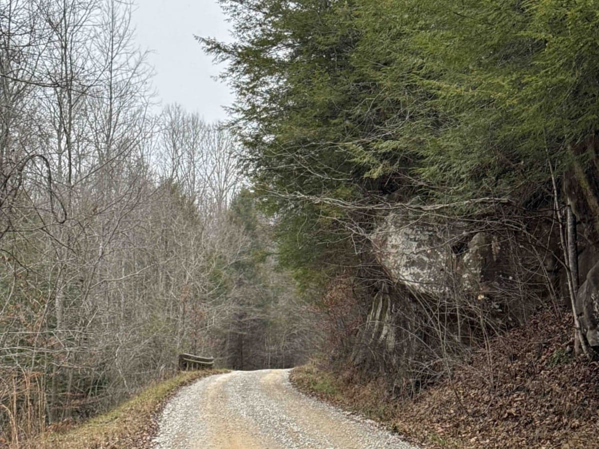 Tussey Hill Road photo 6