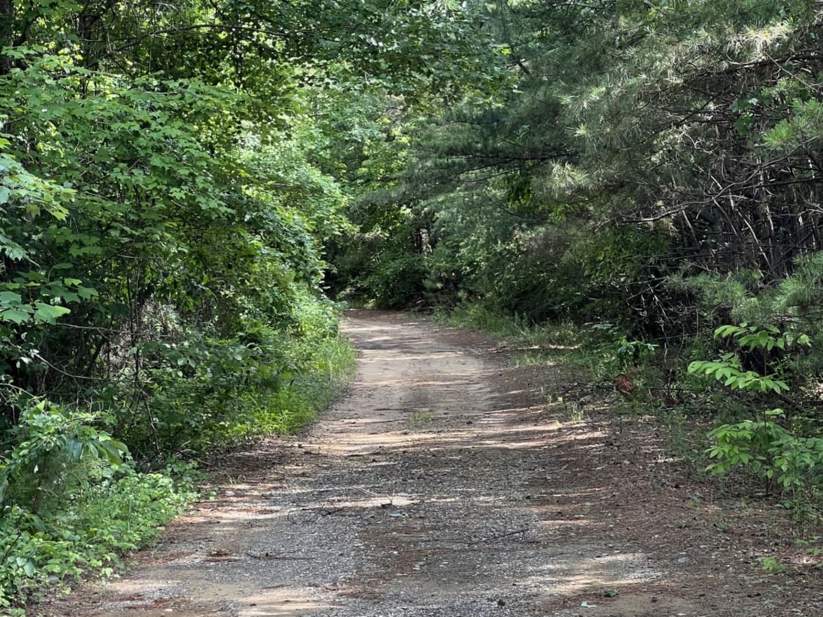 Fork Creek Road photo 6
