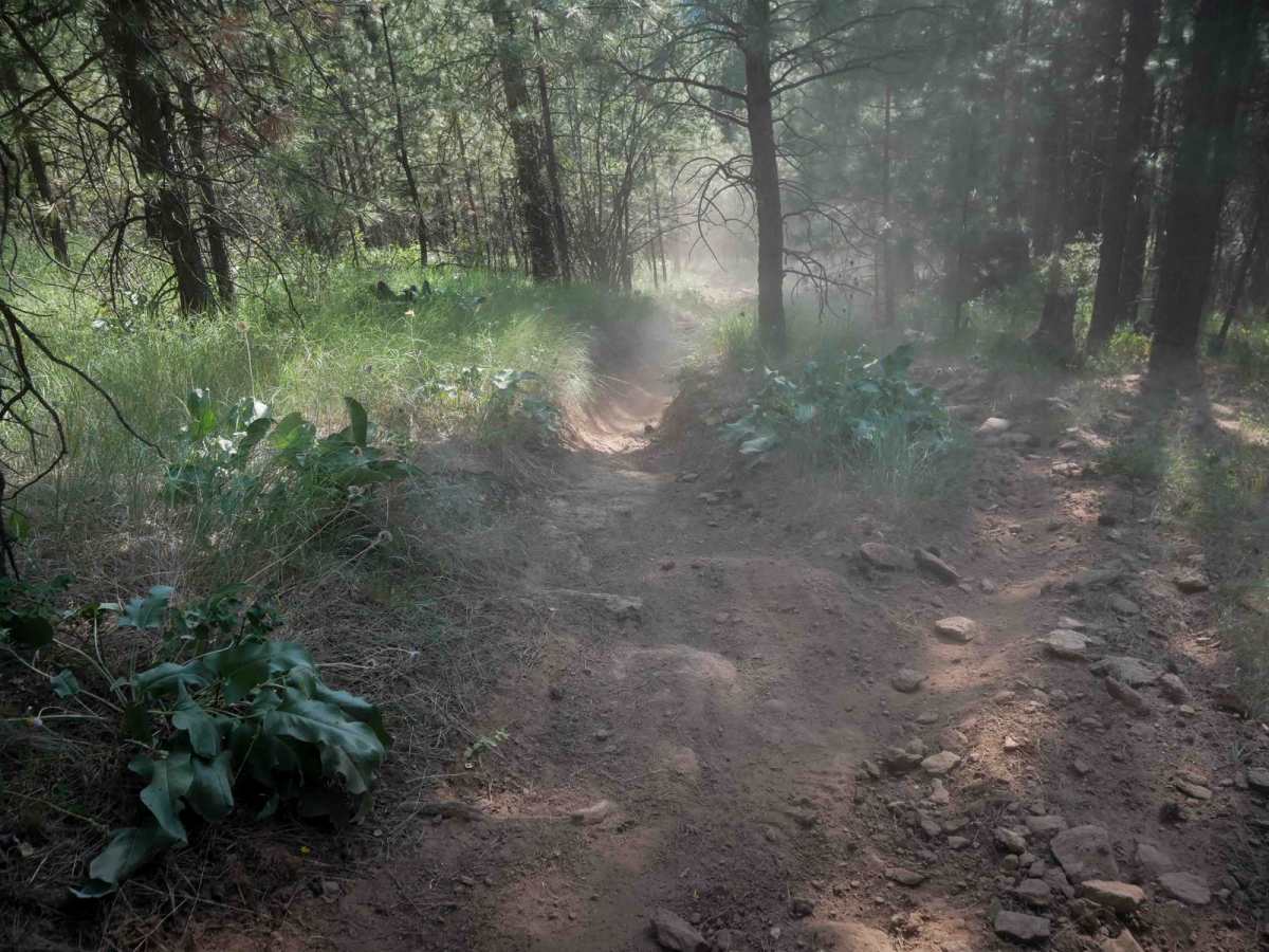 East Boundary (More Difficult) photo 6