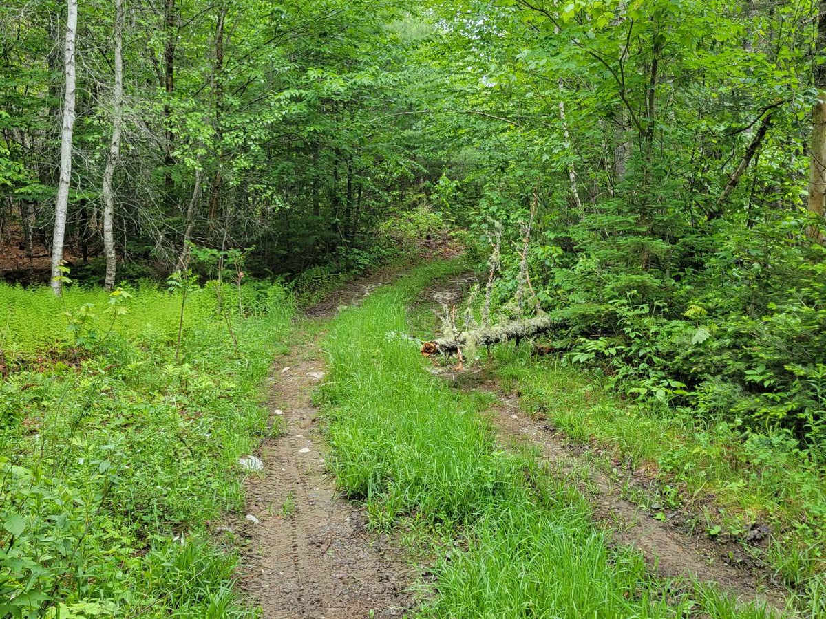 Baker Hill Summit photo 2