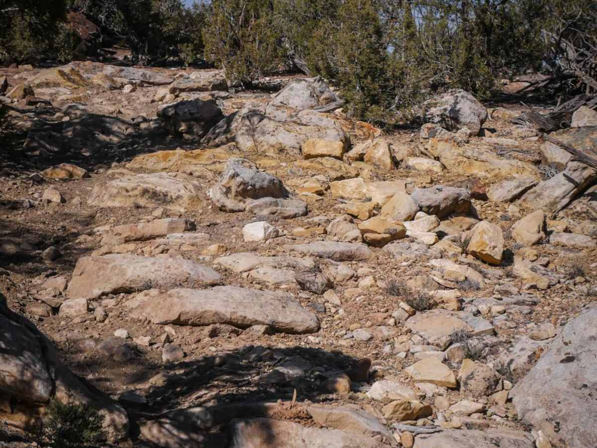 Pork Chop trail photo