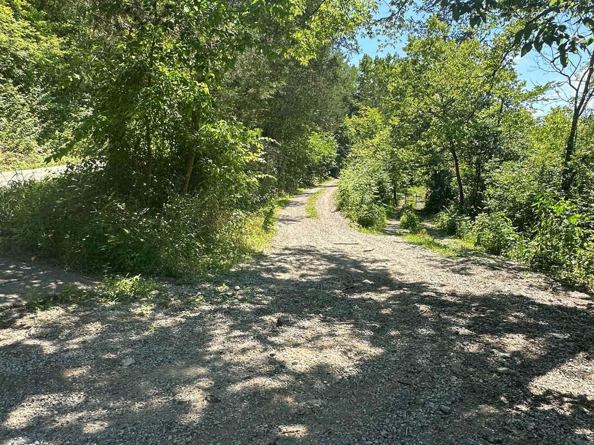 Silver Creek - Playground Area trail photo