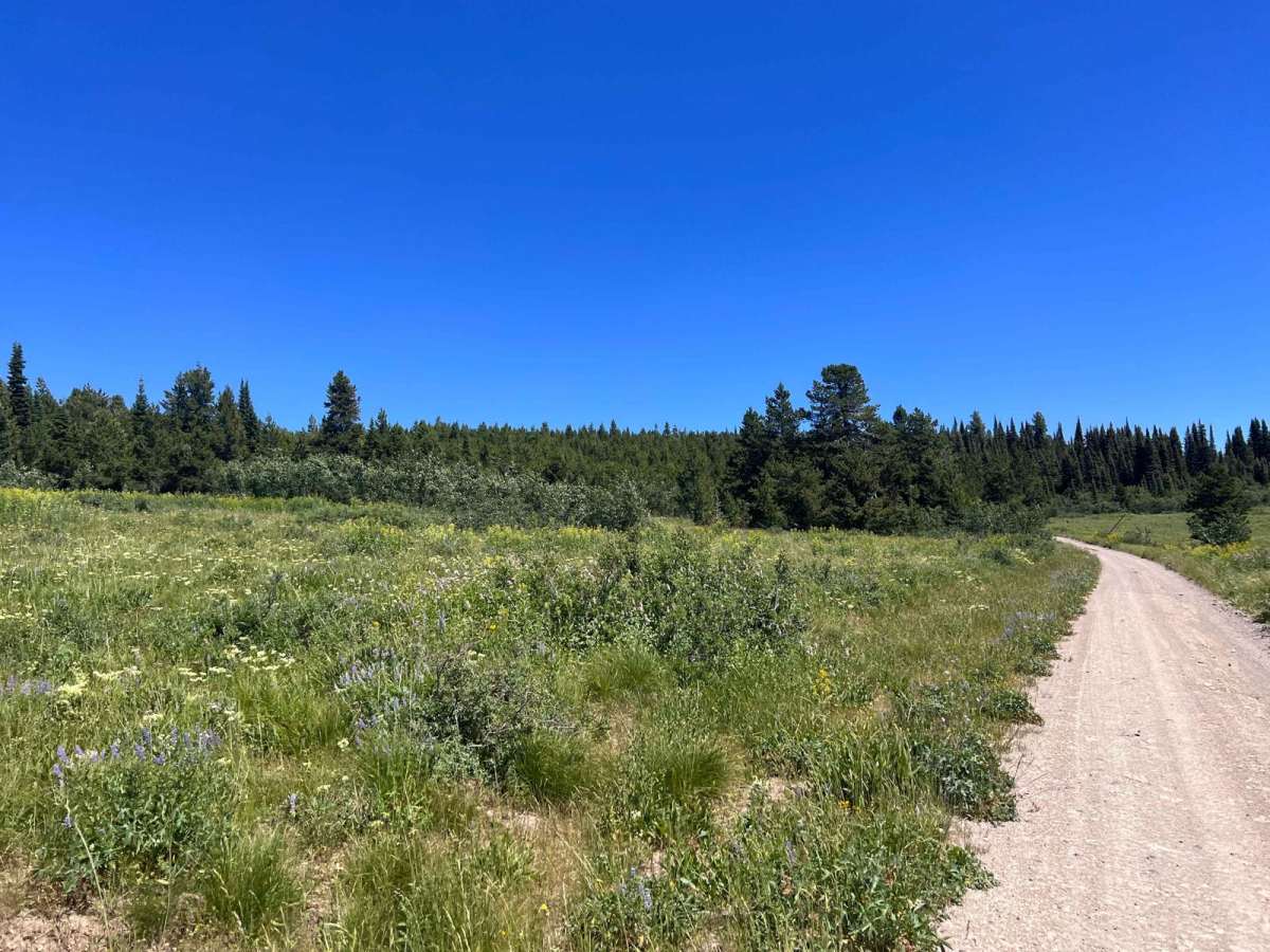 Bishop Mountain Road (20120) photo 6