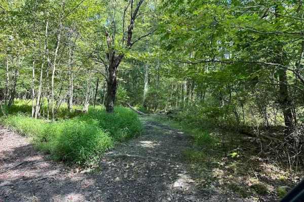 Single Track Blue