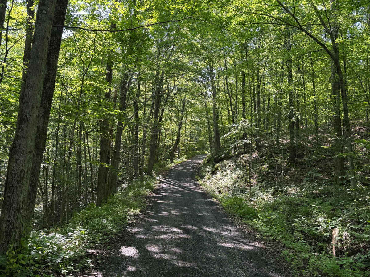 Mary Smith Hill Road photo 5