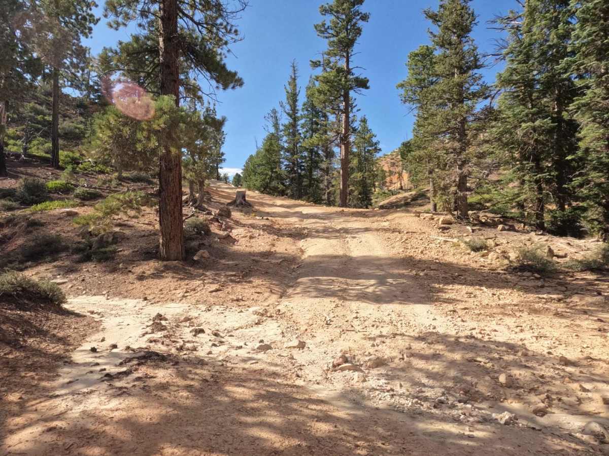 Birch Spring Pass Creek - BLM32000.3 photo 4