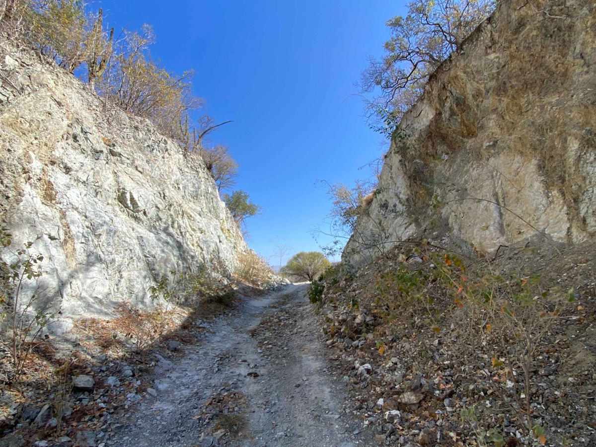 Paseo trail photo