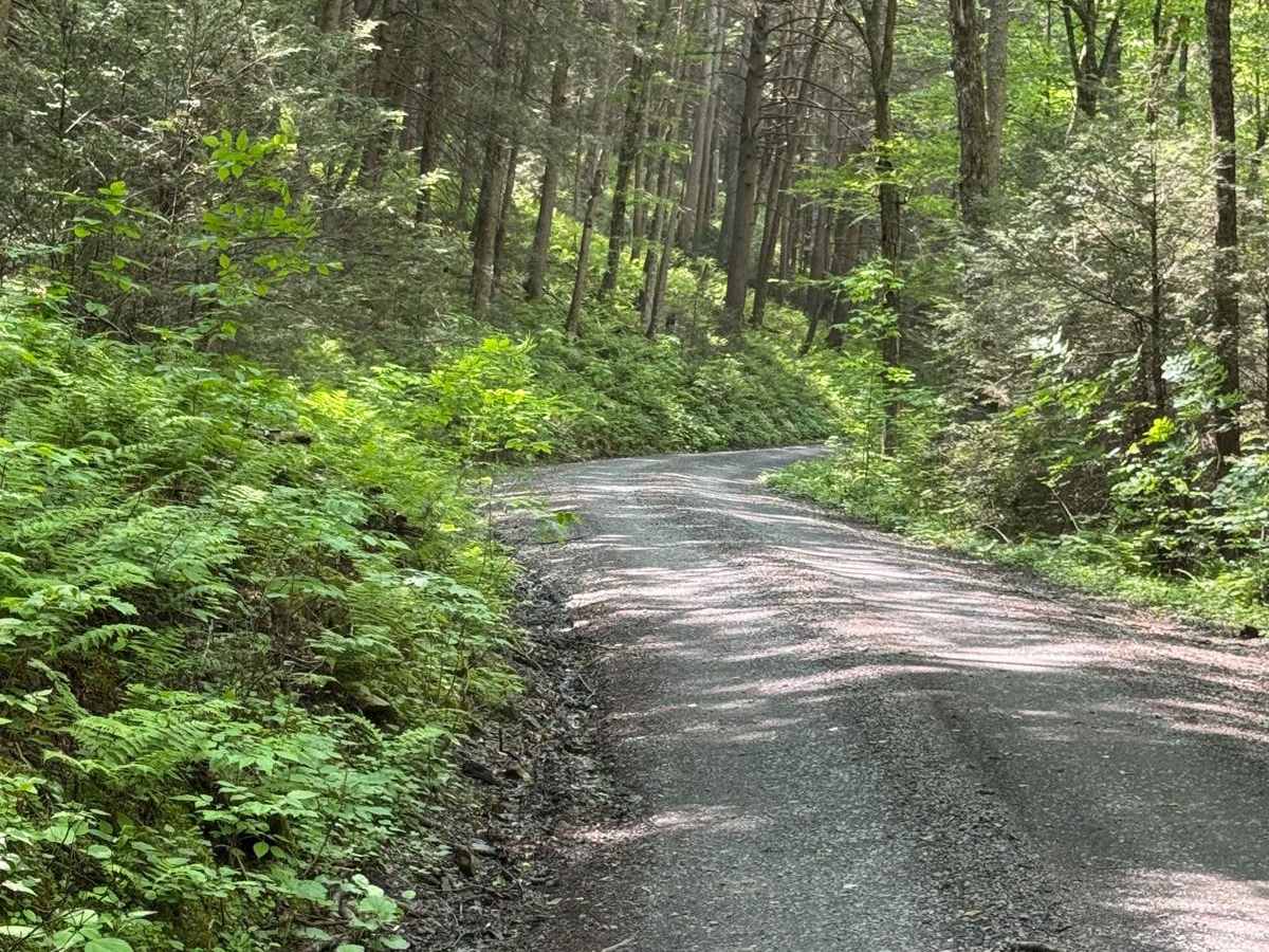 Abes Fork Road photo 6