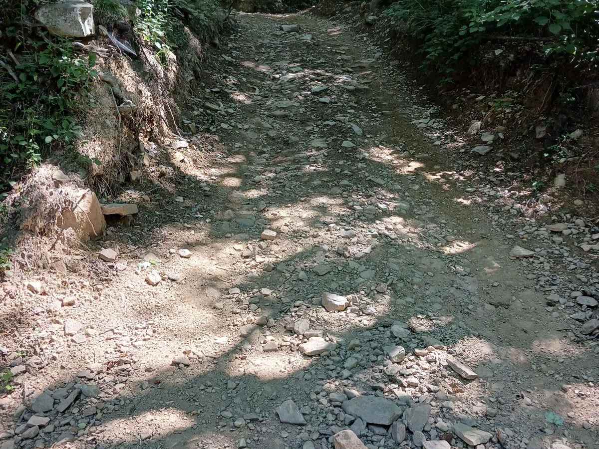 Lower Briar Path photo 3