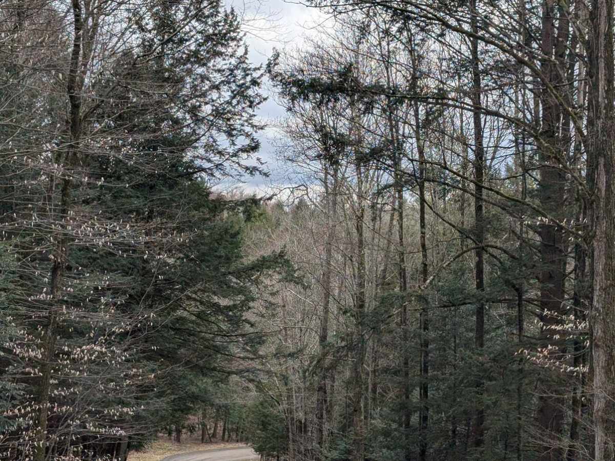 Kuhlman Road photo 6