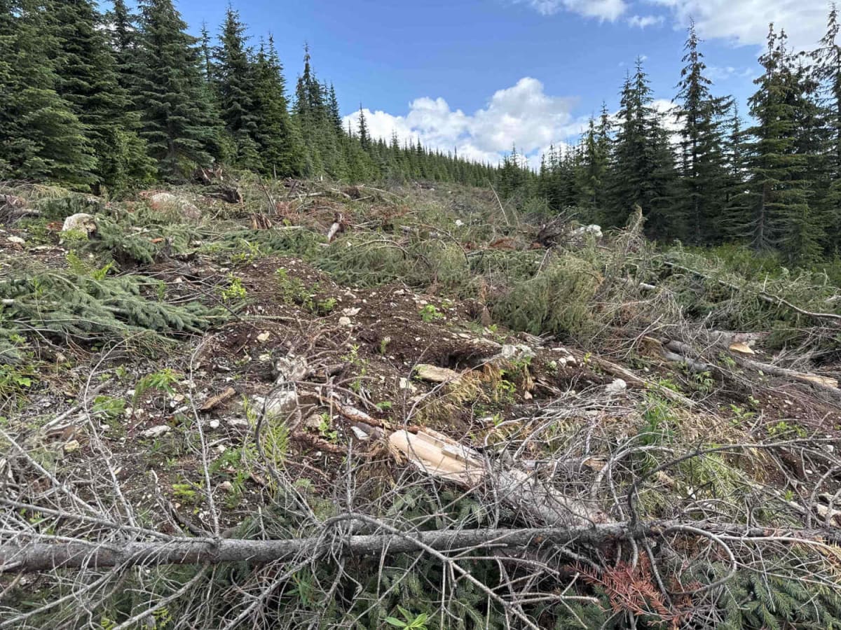 North Fork Spur photo 5
