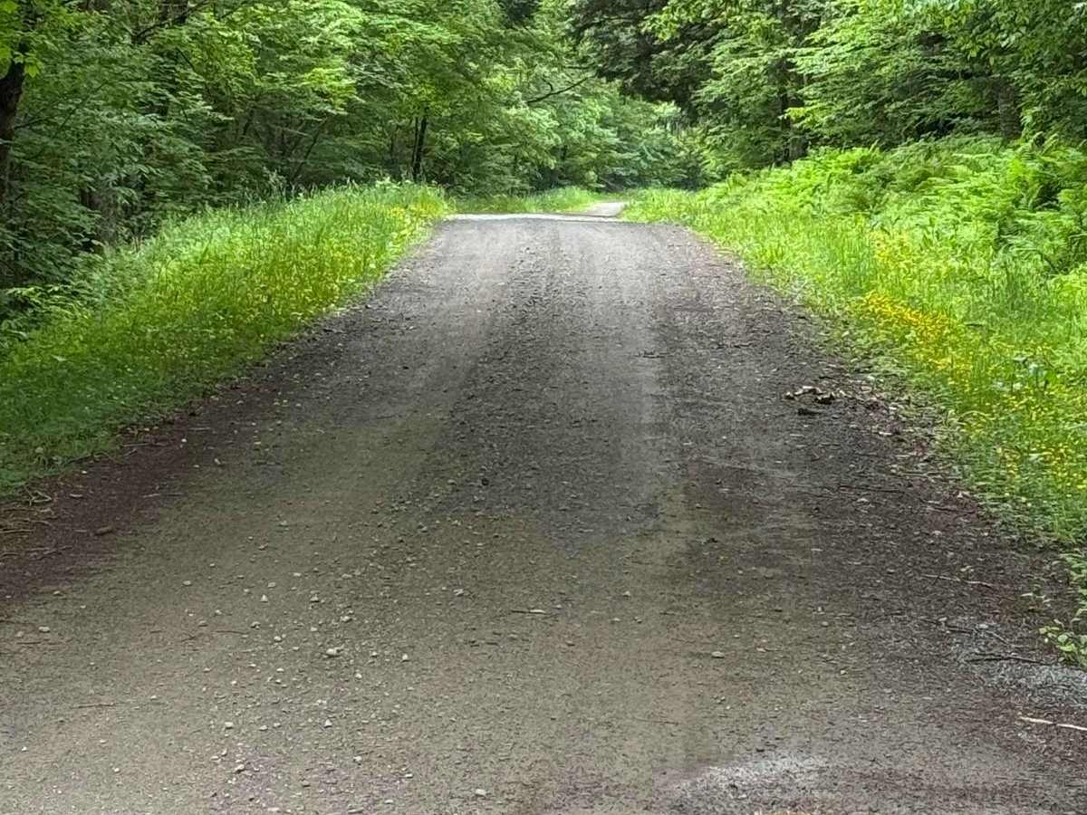 West Trout Brook Road photo 2