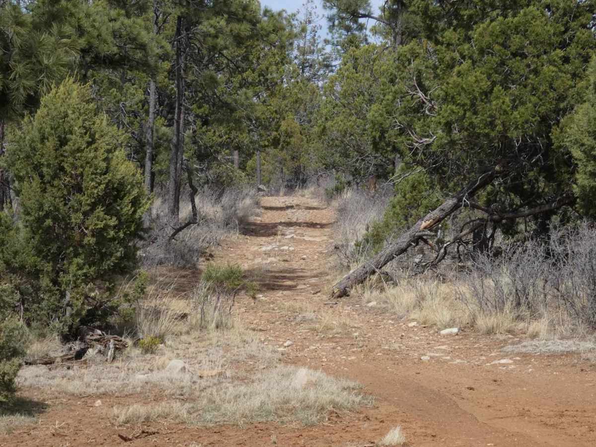 Elk Ridge North photo 3