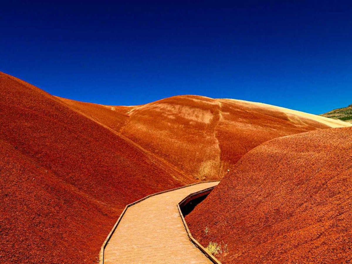 Bear Creek Road (Painted Hills Trail) photo 6