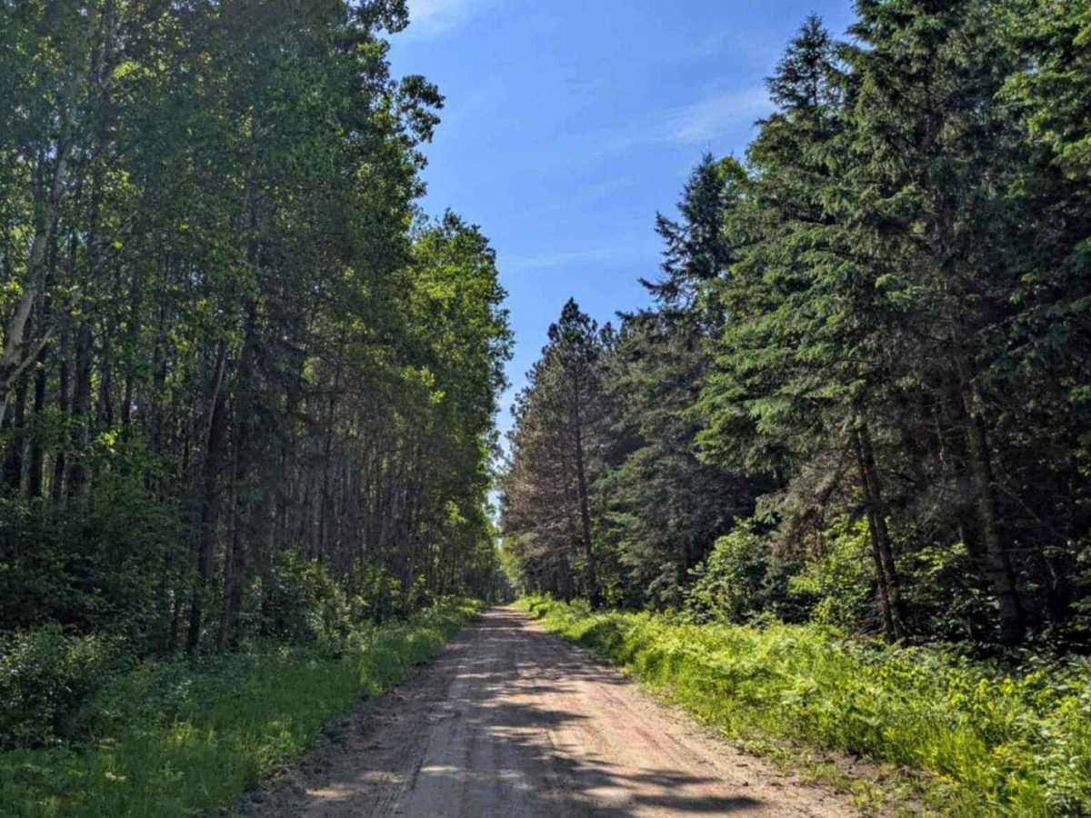 County Road 335 photo 3