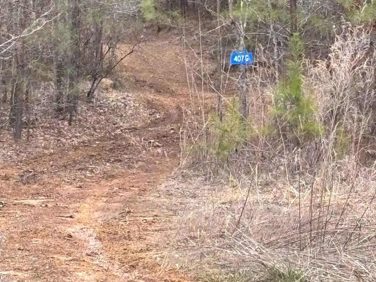 407G trail photo