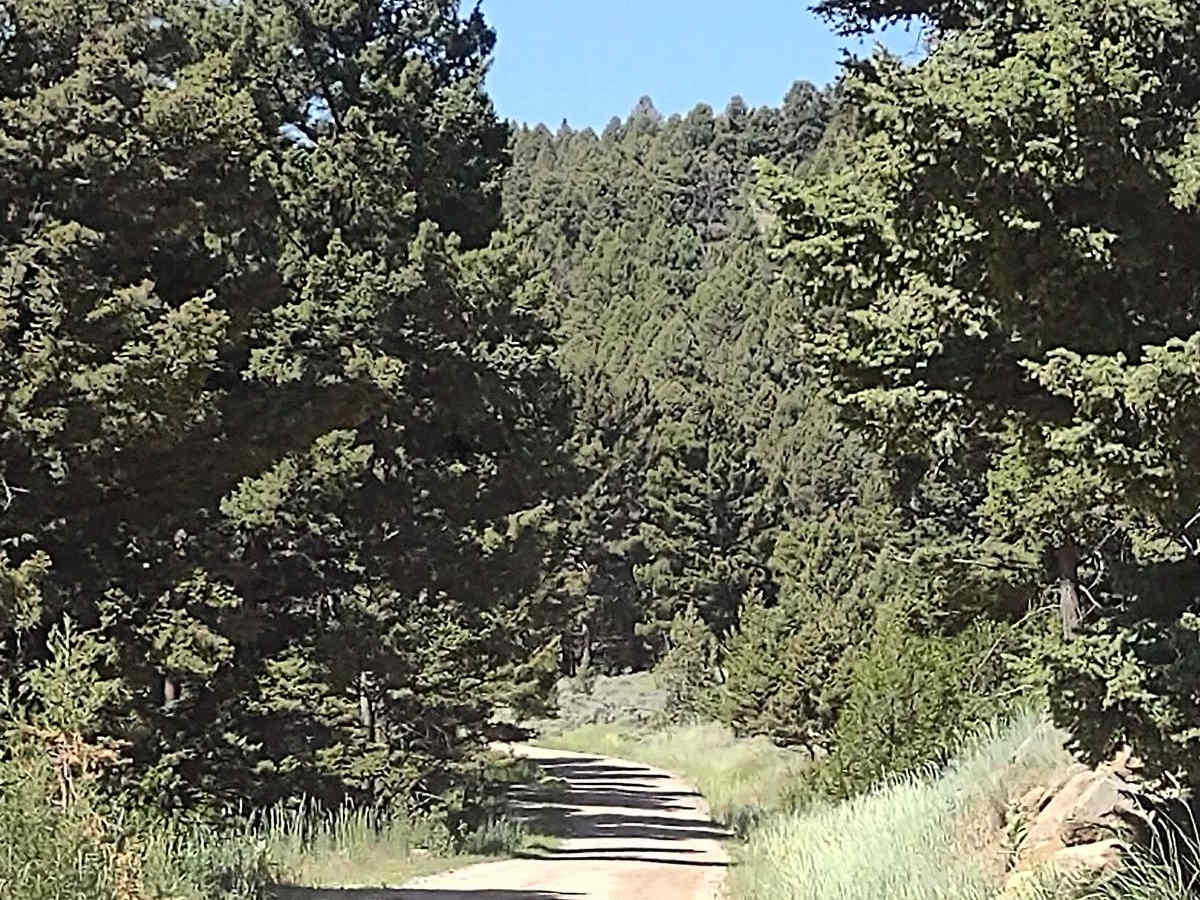 Cattle Drive to Bear Gulch photo 5