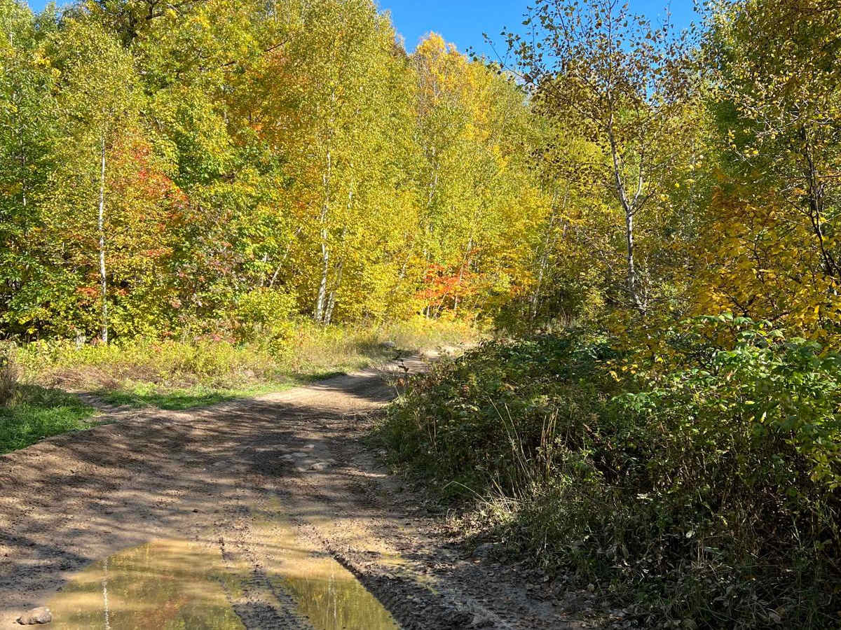 Paul Bunyan Round River Dr photo 5