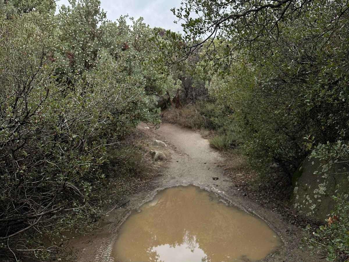Wrangler Trail (901) photo 6